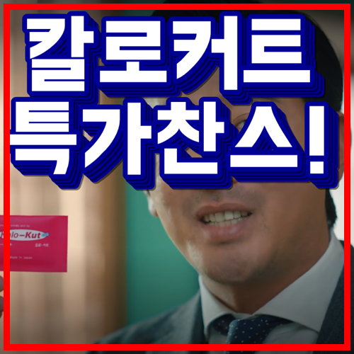  칼로커트 면세점 성분 하정우 다이어트 특가!