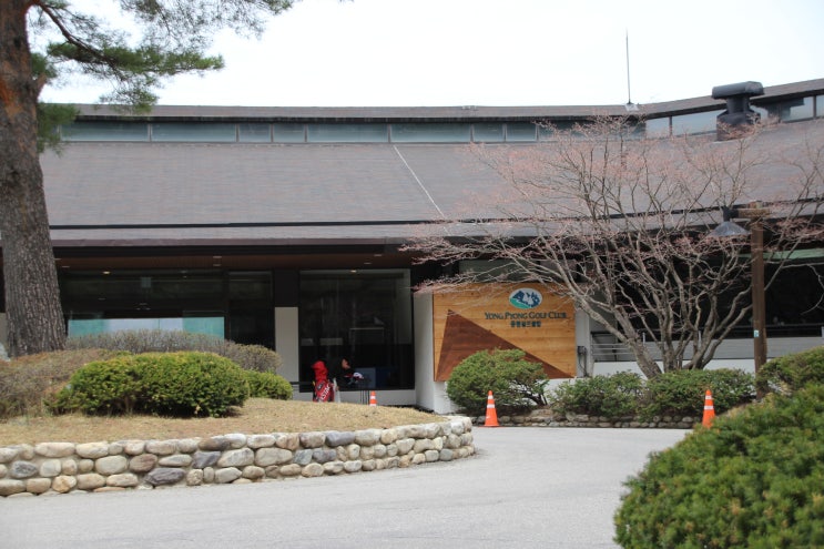  용평리조트 오랜만에 골프치고 힐링했어요