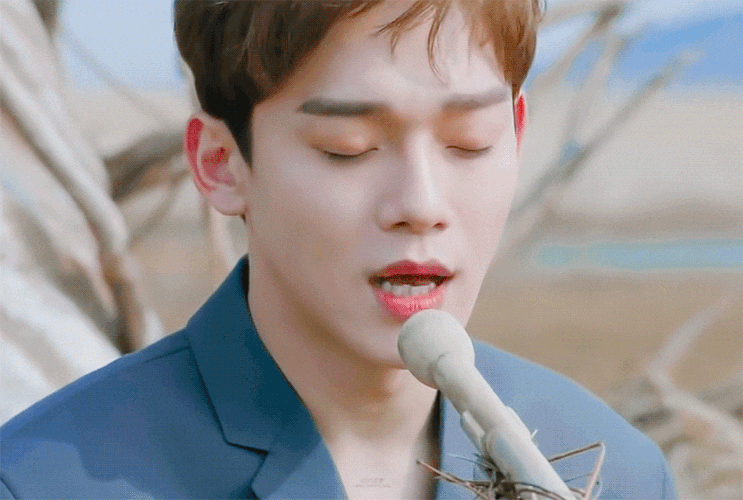  [백첸]So that our last goodbye