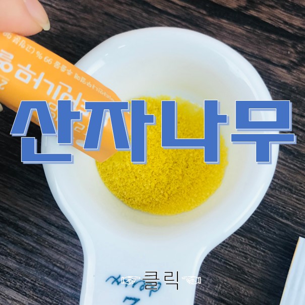  산자나무 스틱형으로 비타민열매나무 효능보기!