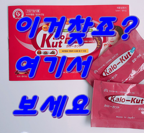 칼로리커트 완소
