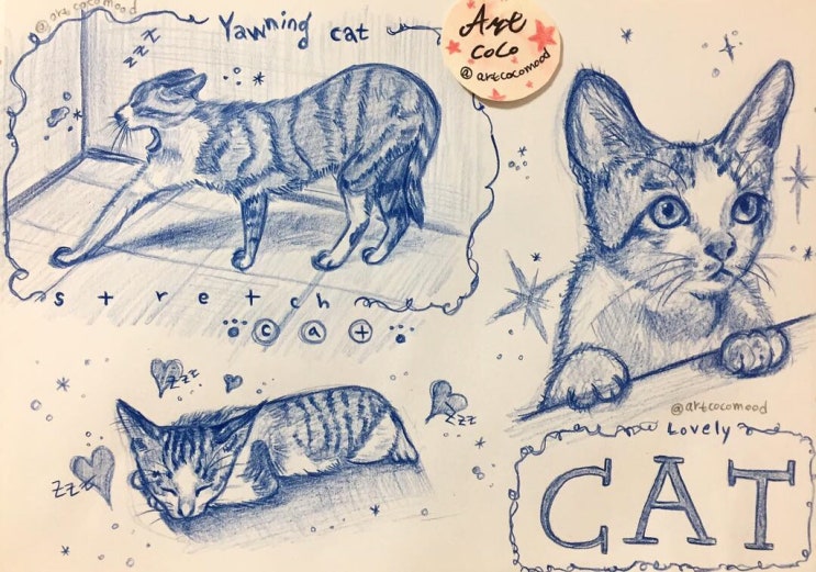  고양이 손그림 낙서
