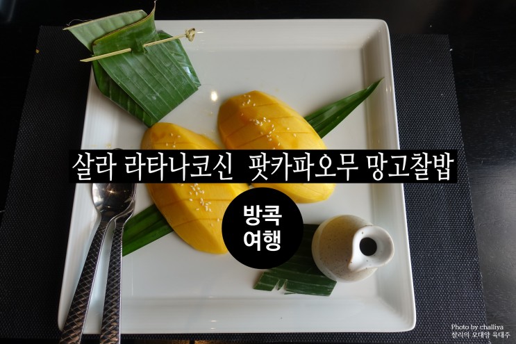 방콕 맛집 살라 라타나코신 태국 음식 팟카파오무 망고찰밥