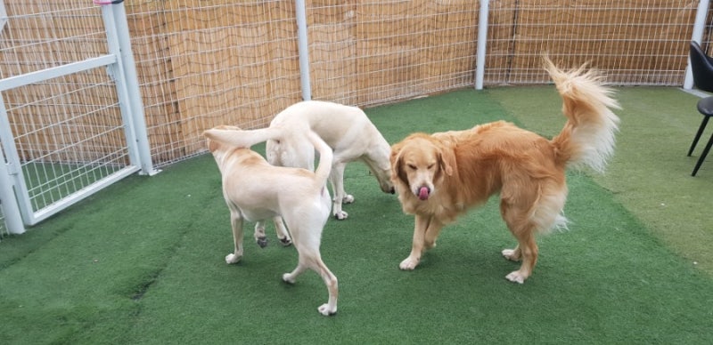 사진 3