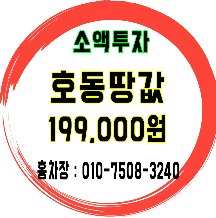  경기도 용인시 처인구 원삼면 호동땅값199,000원
