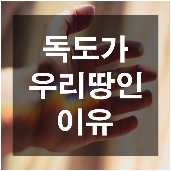  초등학생이 알아야 할 독도가 우리 땅인 이유 초등역사 독도