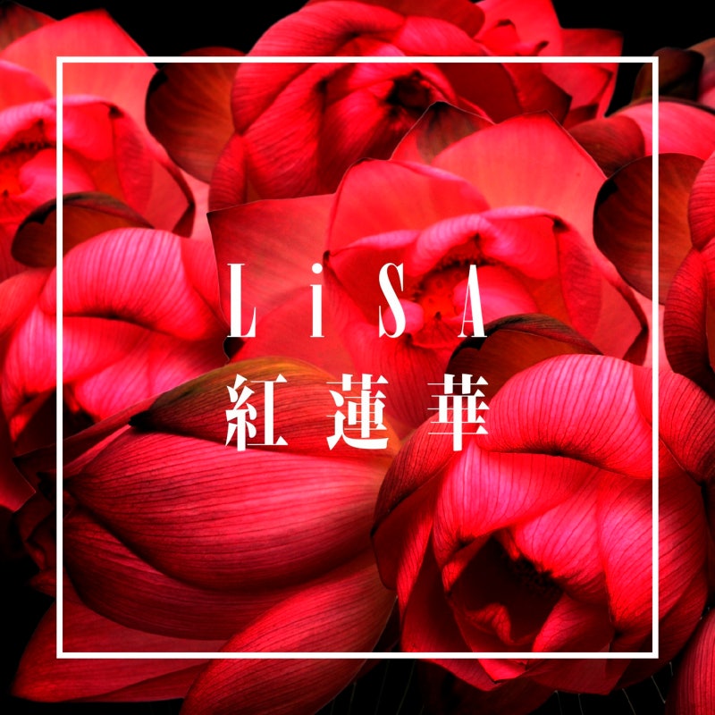 紅蓮華 | 홍련화 — lisa