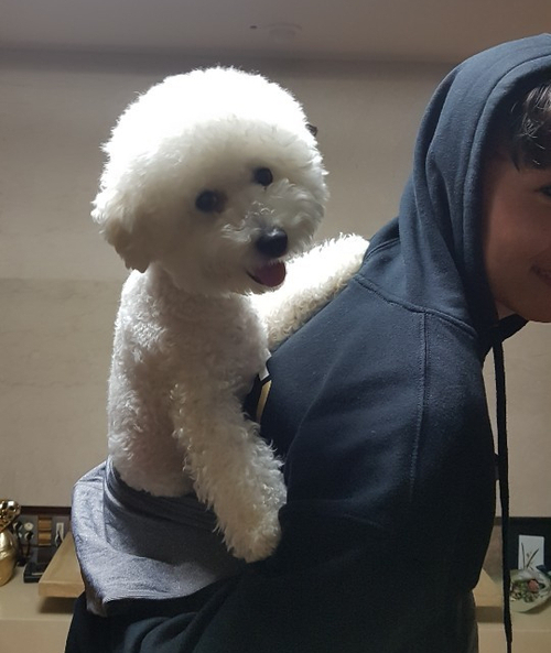  애니멀커뮤니케이터 주망)응석꾸러기 하리의 펫타로