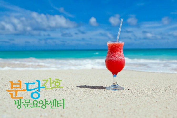 분당간호방문요양센터, (031)719-7786 입주요양 입주간병 방문요양 안내 분당간호방문요양센터, (031)719-7786 입주요양 입주간병 방문요양 안내