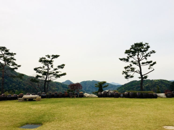  한 잔의 커피와 쉼