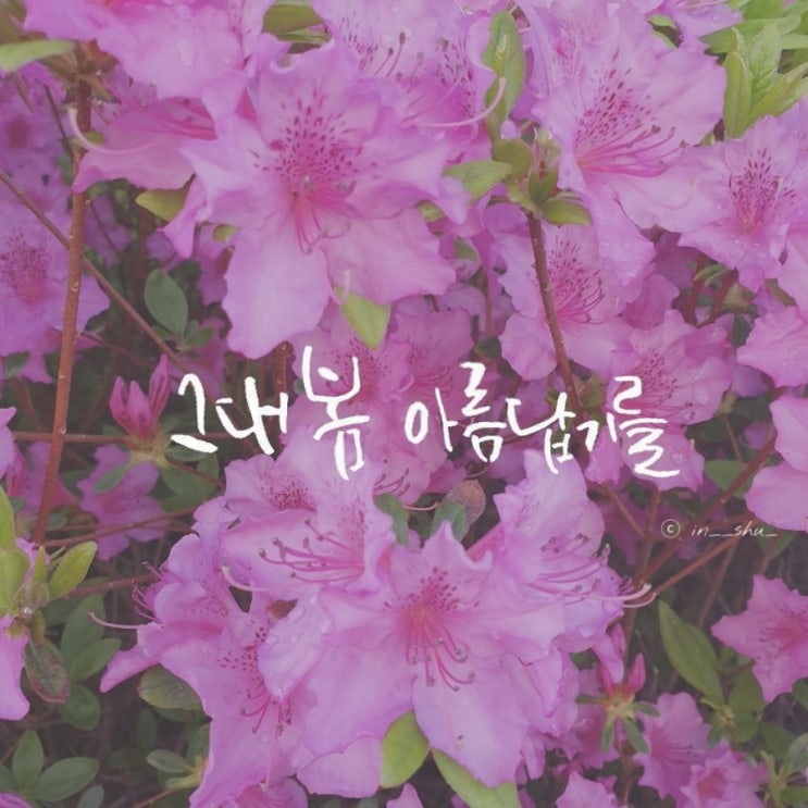  열번째 캘리이야기 <붓펜 배경사진.7>