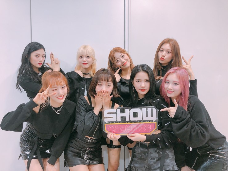  (위미)위미셜 #위키미키의 Q&A 1편! 무엇이든 물어보세요