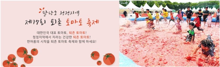  2019년 경기도 광주시 퇴촌 토마토축제