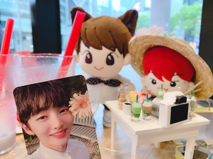 아이돌인형 공차 센트로폴리스점에서 카페놀이! (with 윤지성 앨범) 아이돌인형 공차 센트로폴리스점에서 카페놀이! (with 윤지성 앨범)