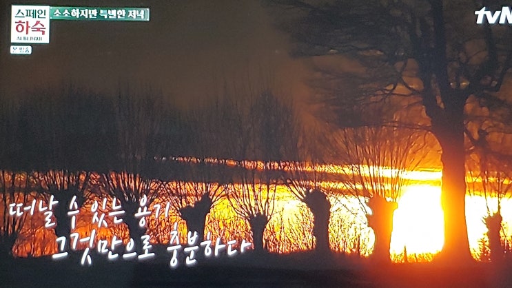  스페인하숙 7화, 산티아고 가는길 떠날 수 있는 용기면 충분하다