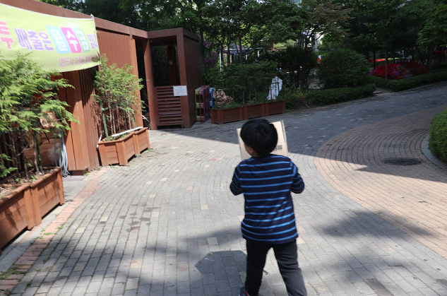  매주 토요일 쓰레기 버리는 날. 도서관 가는길, 동네 한바퀴
