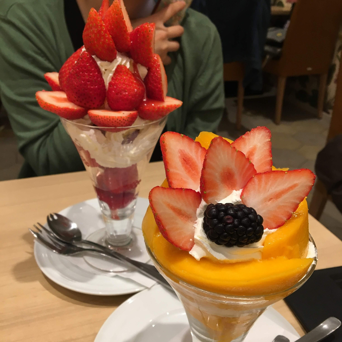  [일본]2019 4박 5일 도쿄 자유여행 4일차