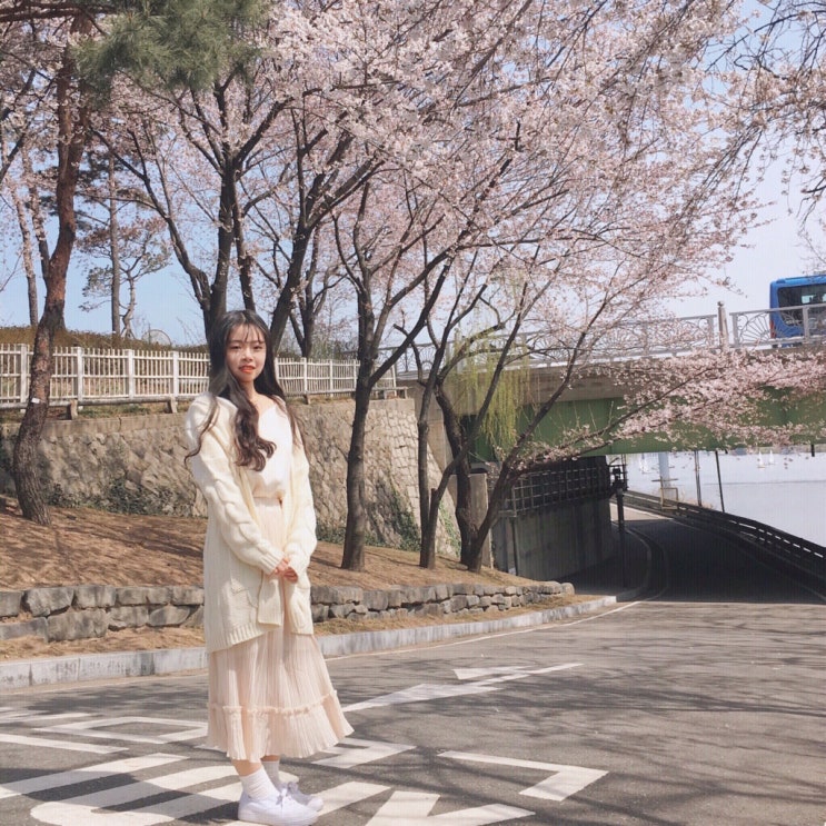  이공일구 첫번째 꽃놀이