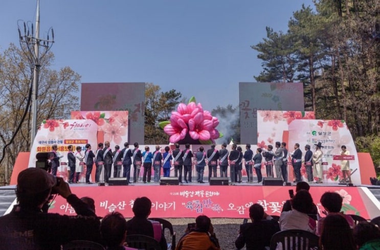  달성군 비슬산 참꽃 문화제   행사 이벤트 대구행사 대구사회자 대구mc mc컬러풀