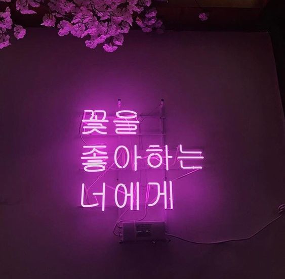  배낭여행필수코스 산티아고순례자의길 꼭봐야디는꿀팁