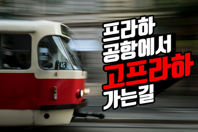  고프라하, 프라하공항에서 오시는 길, 프라하한인민박