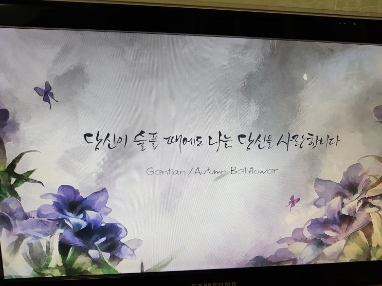  슬플때 사랑한다 지현우 박한별 해피앤딩