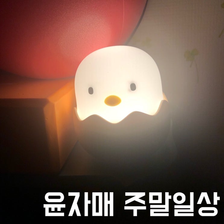  #23 기록 <윤자매 주말/방탄소년단/도토리 쫄쫄면>