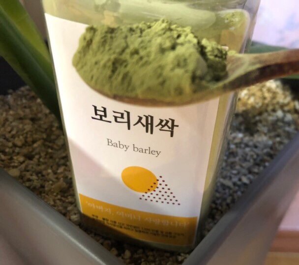  건강가루로는 새싹보리가루로 건강을 챙기자!