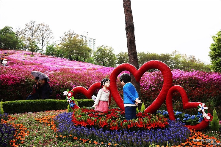 2019 군포철쭉축제 철쭉동산에서 열리는 경기도 봄꽃축제