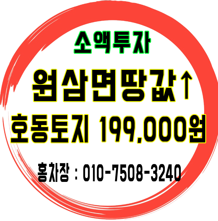 용인 원삼 면 땅값 하이닉스 호동 토지 투자 199,000원