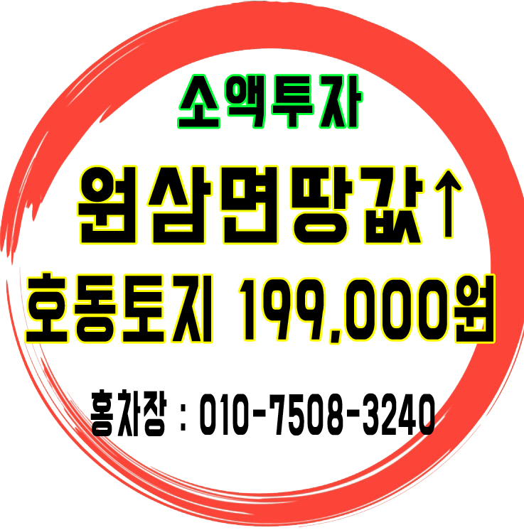  용인 원삼 면 땅값 하이닉스 호동 토지 투자 199,000원