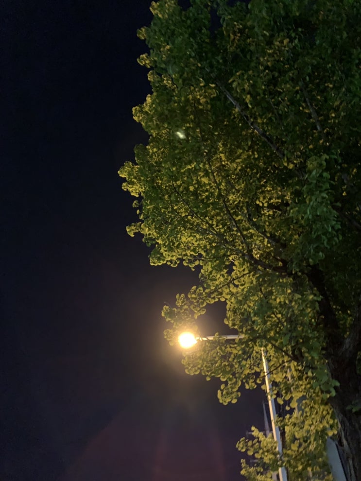  2019.04.22~27