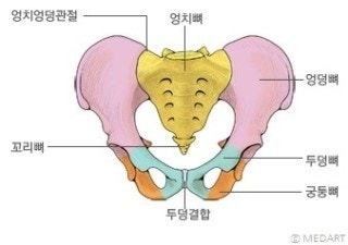 좌골낭염과 햄스트링 부상