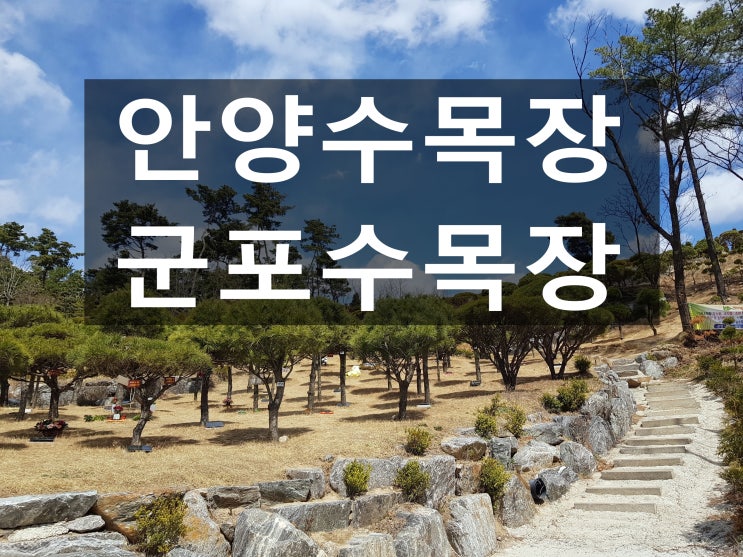  안양수목장&군포수목장 좋은곳 추천해 주세요~
