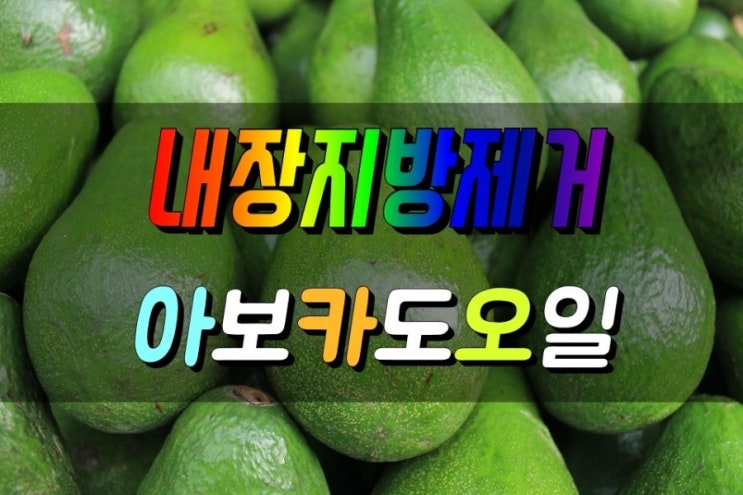  내장지방 제거 콜레스테롤 감소 아보카도(오일) 효능