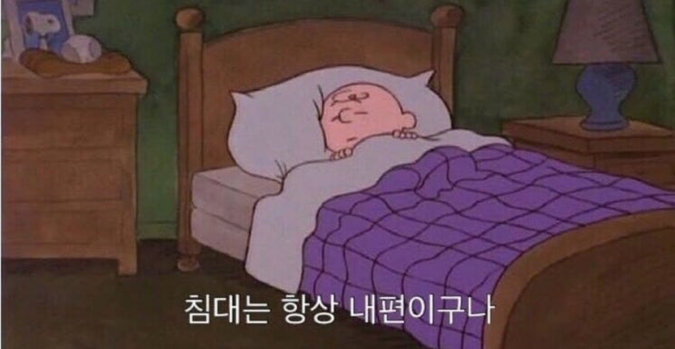  2019.4.27 집에서 놀기