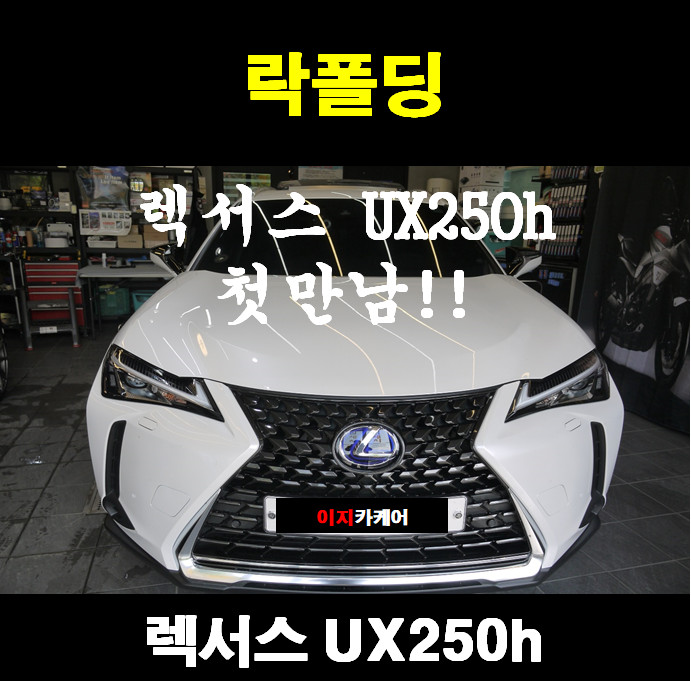  렉서스 UX250h 락폴딩 (UX 차량과의 첫만남.. 근데 락폴딩이 안되다니..ㅜㅜ)