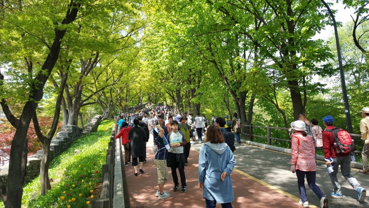  등산, 아재 개 그