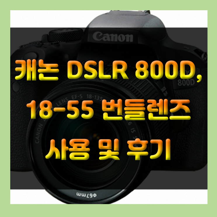 [업자X]입문용 DSLR 적극 추천!! 캐논 DSLR 800D + 18-55mm IS STM 번들렌즈 직접 사용 및 후기