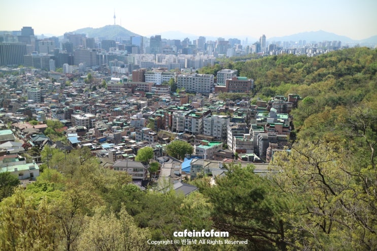  인왕산 자락길 서울도심 걷기좋은길 라일락꽃 왕벚꽃 쉬어가는길