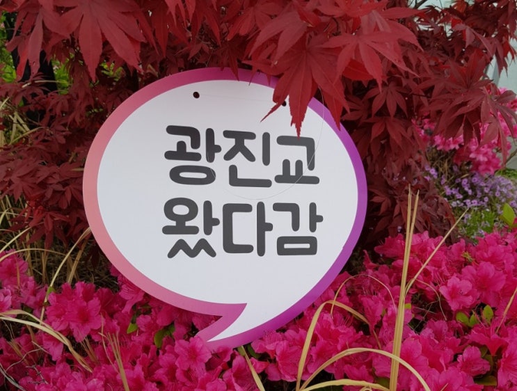 2019광진교 한강다리위 페스티벌 <광진교 다리위 피크닉>다양한 볼거리,먹거리 2019광진교 한강다리위 페스티벌 <광진교 다리위 피크닉>다양한 볼거리,먹거리