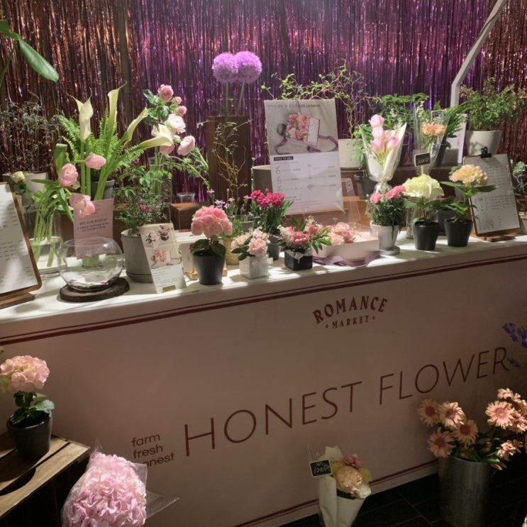  [광화문D타워] 꽃과 화분, HONEST FLOWER 팝업스토어
