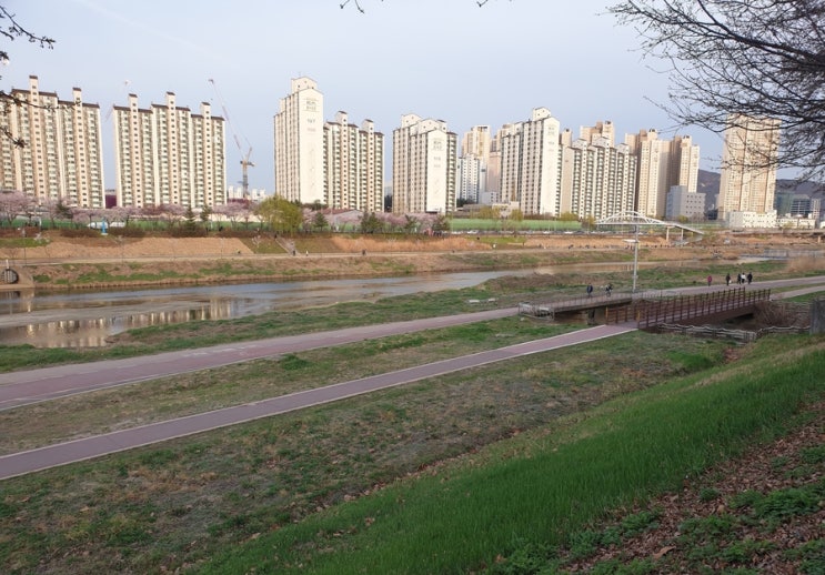  안양천 환경개선사업