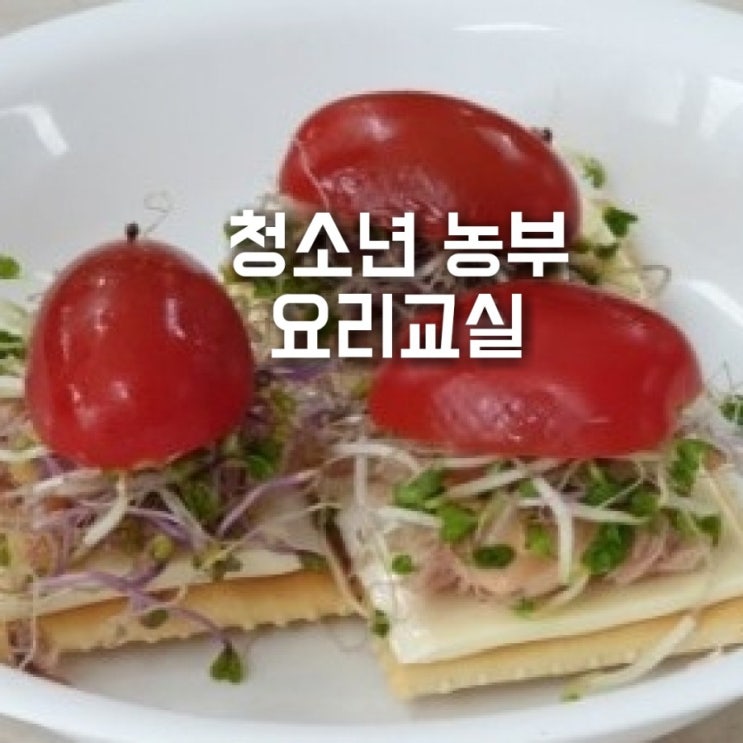  학교텃밭  새싹요리,  진로체험, 도시농업관리사, 중학교 농사 동아리 요리활동, 파주 청소년 농부학교, 바른먹거리, 치유농업, 원예치료사