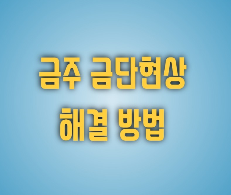 금주 금단현상 도움 주는 방법 및 술 금단증상 해결