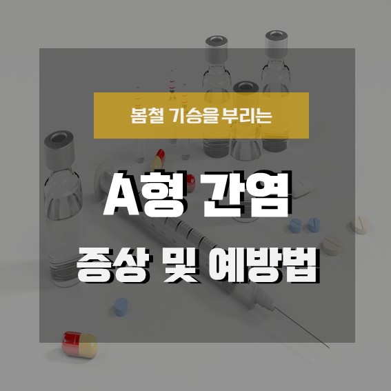  [A형 간염] 봄에 기승 부리는 A형 간염 증상과 예방법은?! (feat. a형 간염 증상, a형 간염 전염, a형 간염 예방접종, 치료)