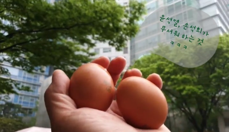  서울중앙지검장 윤석열 협박했다는 유튜버의 진실은?