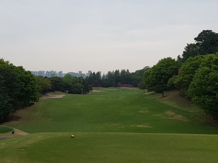  남부CC 라운딩후기