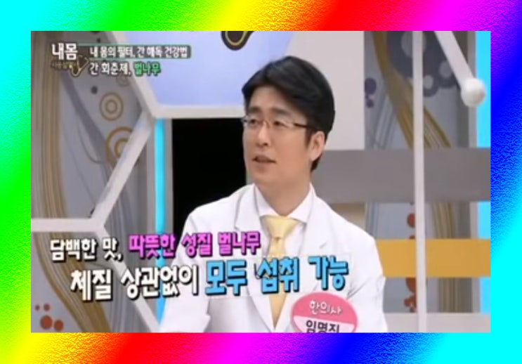  a형 간염 증상 치료에 좋은 음식 방송 논문