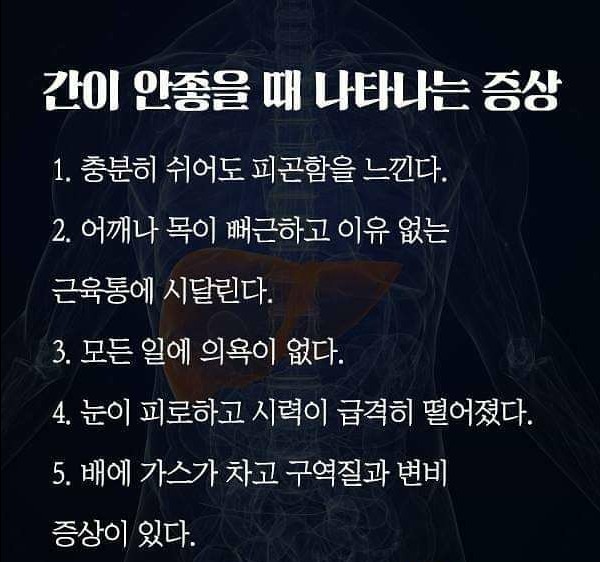  간이 안좋을때 나타나는 증상